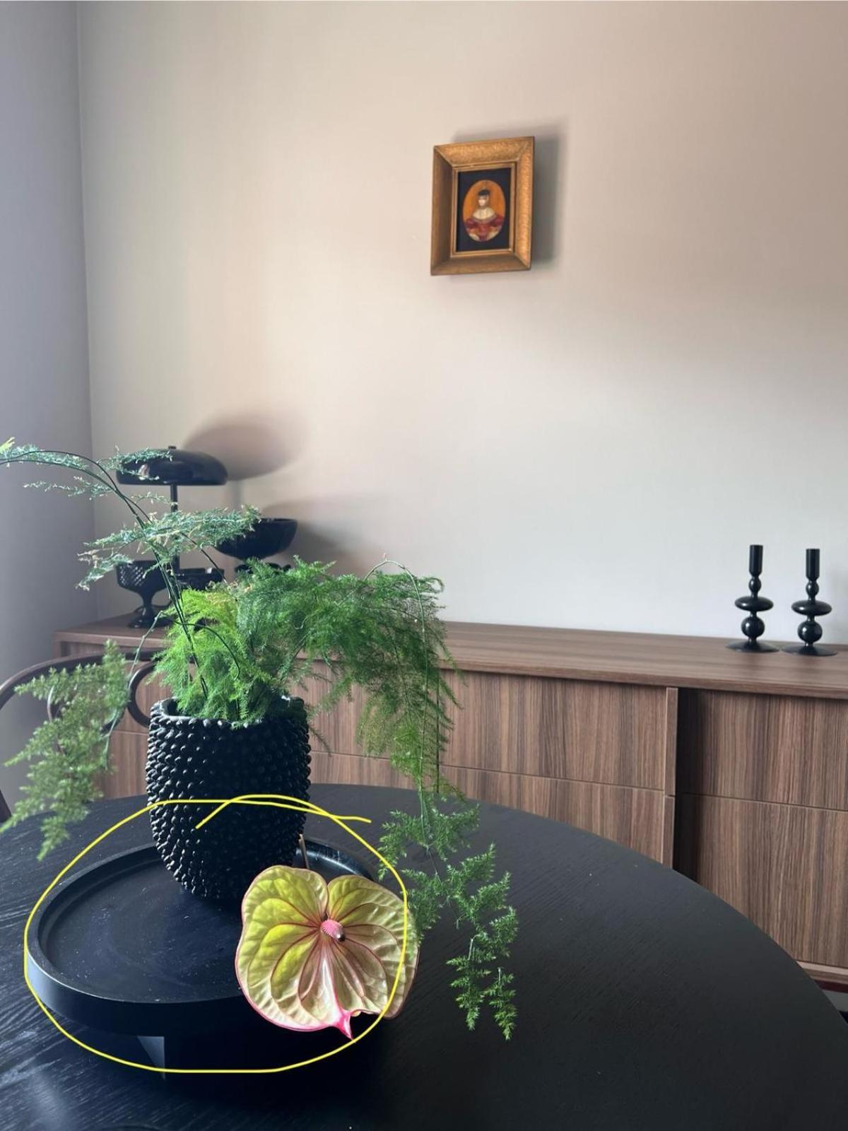 Entu Apartamenty Odrzanska Wroclaw Dış mekan fotoğraf